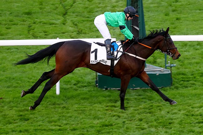 Photo d'arrivée de la course pmu PRIX ISOLA BELLA - FONDS EUROPEEN DE L'ELEVAGE à SAINT CLOUD le Dimanche 10 novembre 2024