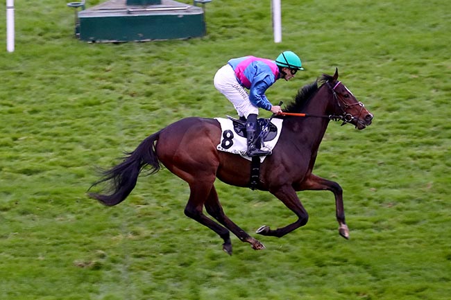 Photo d'arrivée de la course pmu PRIX DES FALAISES DE CRAIE à SAINT CLOUD le Dimanche 10 novembre 2024