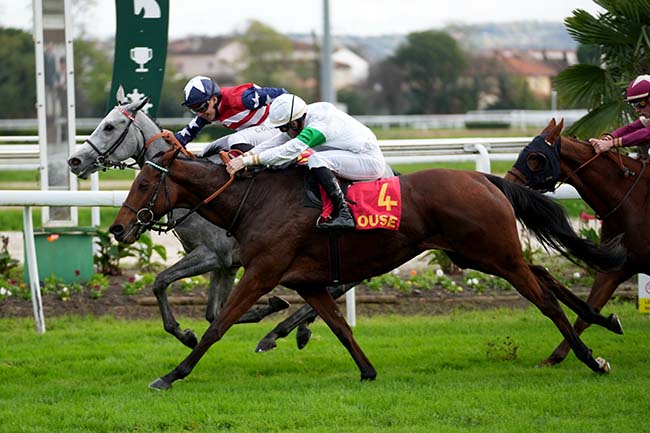 Photo d'arrivée de la course pmu GRAND NATIONAL DES ANGLO-ARABES A 12.5 % à TOULOUSE le Lundi 11 novembre 2024