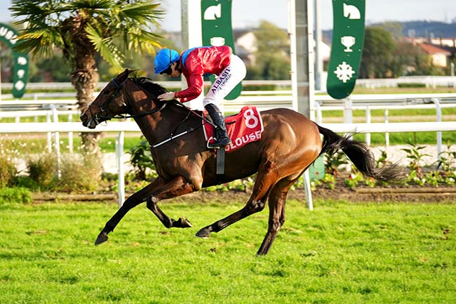 Photo d'arrivée de la course pmu PRIX FILLE DE L'AIR à TOULOUSE le Lundi 11 novembre 2024