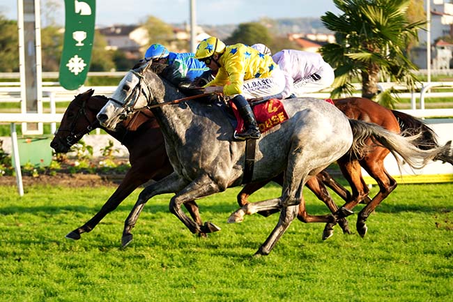 Photo d'arrivée de la course pmu PRIX DE LA REPUBLIQUE DU SENEGAL (PRIX D'ESQUIROL) à TOULOUSE le Lundi 11 novembre 2024