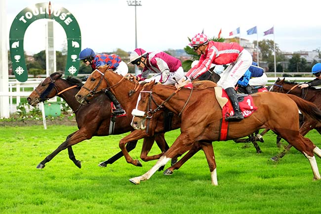 Photo d'arrivée de la course pmu PRIX DE LA DEPECHE DU MIDI à TOULOUSE le Lundi 11 novembre 2024