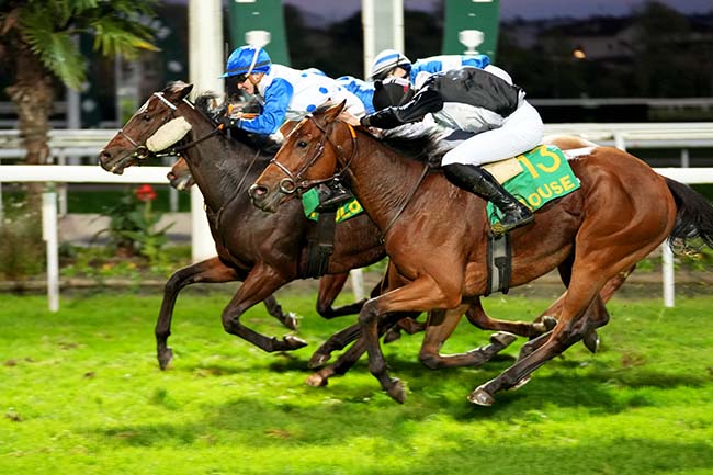 Photo d'arrivée de la course pmu PRIX JEROME RAMBAUD à TOULOUSE le Lundi 11 novembre 2024