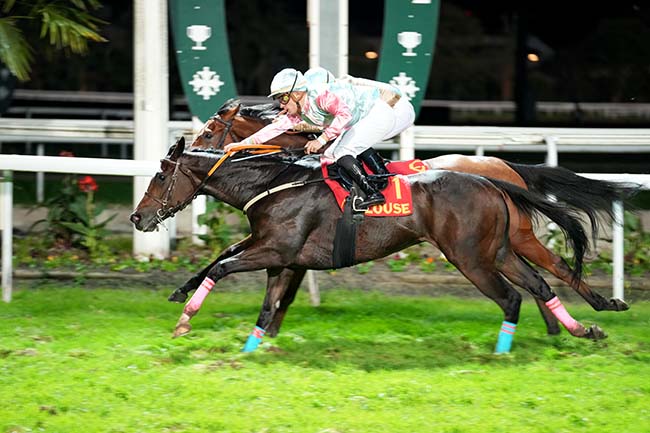 Photo d'arrivée de la course pmu PRIX ACTU TOULOUSE à TOULOUSE le Lundi 11 novembre 2024