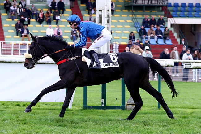 Photo d'arrivée de la course pmu PRIX ELISA à COMPIEGNE le Lundi 11 novembre 2024
