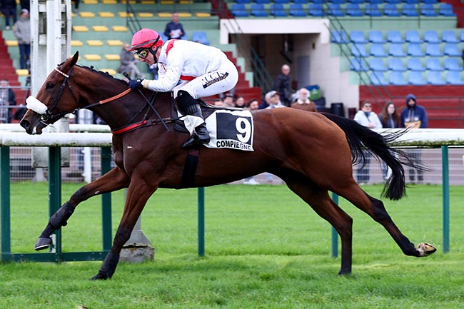 Photo d'arrivée de la course pmu PRIX PAULETTE ROLLAND (PRIX SPERANZA) à COMPIEGNE le Lundi 11 novembre 2024