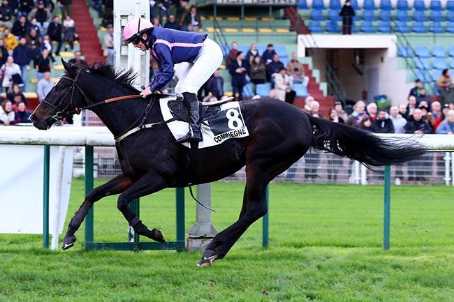 Photo d'arrivée de la course pmu PRIX CHAKHANSOOR à COMPIEGNE le Lundi 11 novembre 2024