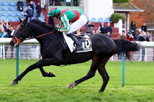 Photo d'arrivée de la course pmu GRAND STEEPLE-CHASE-CROSS-COUNTRY DE COMPIEGNE à COMPIEGNE le Lundi 11 novembre 2024
