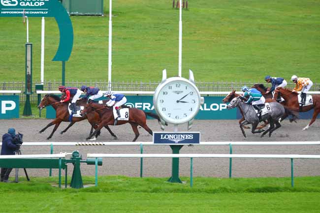 Photo d'arrivée de la course pmu PRIX DU CARREFOUR DES MARCHANDS DE NAVET à CHANTILLY le Mardi 12 novembre 2024