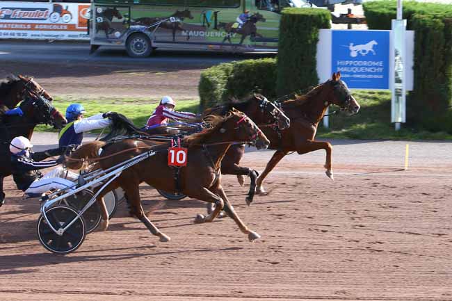 Photo d'arrivée de la course pmu PRIX LE CHEVAL BLANC - BOUCONVILLIERS à MAUQUENCHY le Mercredi 13 novembre 2024