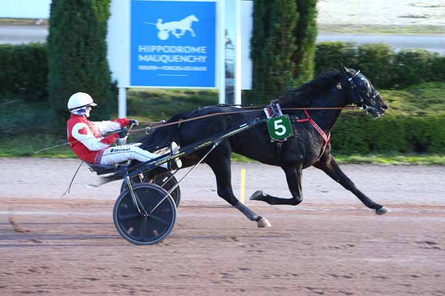 Photo d'arrivée de la course pmu PRIX L'HORIZON - CANTELEU à MAUQUENCHY le Mercredi 13 novembre 2024