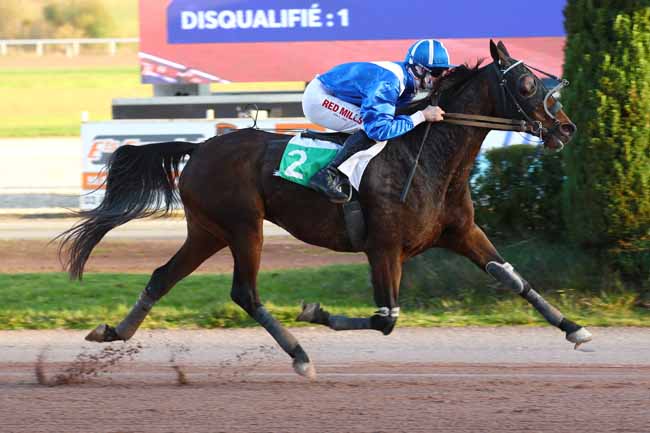 Photo d'arrivée de la course pmu PRIX LE DIPLOMATE - SAINT-ROMAIN-DE-COLBOSC à MAUQUENCHY le Mercredi 13 novembre 2024