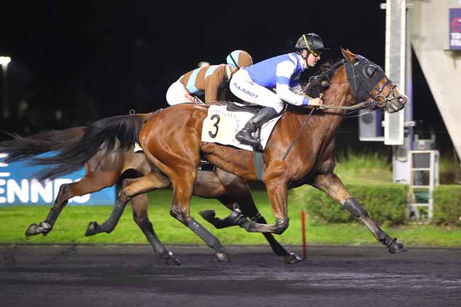 Photo d'arrivée de la course pmu PRIX PSYCHE à PARIS-VINCENNES le Jeudi 14 novembre 2024