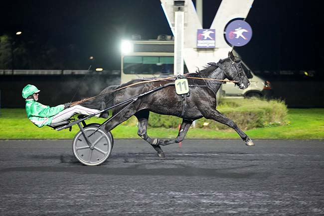 Photo d'arrivée de la course pmu PRIX JEAN MAURICE BETEAU à PARIS-VINCENNES le Dimanche 17 novembre 2024