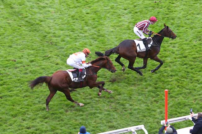 Photo d'arrivée de la course pmu PRIX CAMBACERES - GRANDE COURSE DE HAIES DES 3 ANS à AUTEUIL le Dimanche 17 novembre 2024