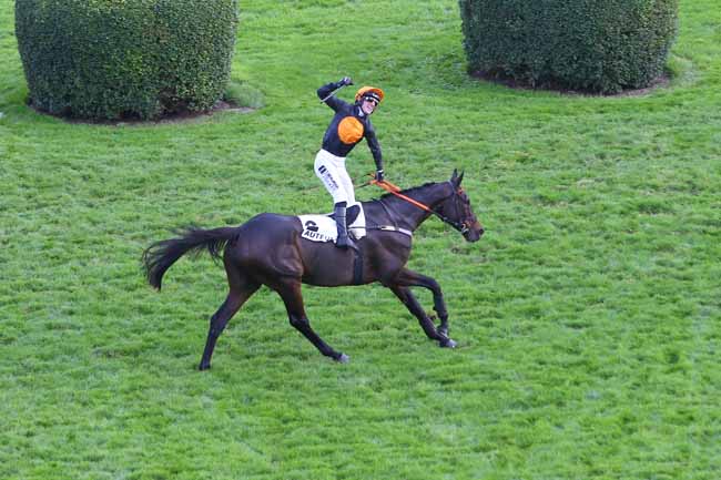 Photo d'arrivée de la course pmu PRIX LA HAYE JOUSSELIN à AUTEUIL le Dimanche 17 novembre 2024