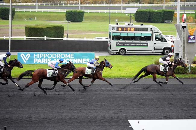 Photo d'arrivée de la course pmu PRIX DE MONTARGIS à PARIS-VINCENNES le Lundi 18 novembre 2024
