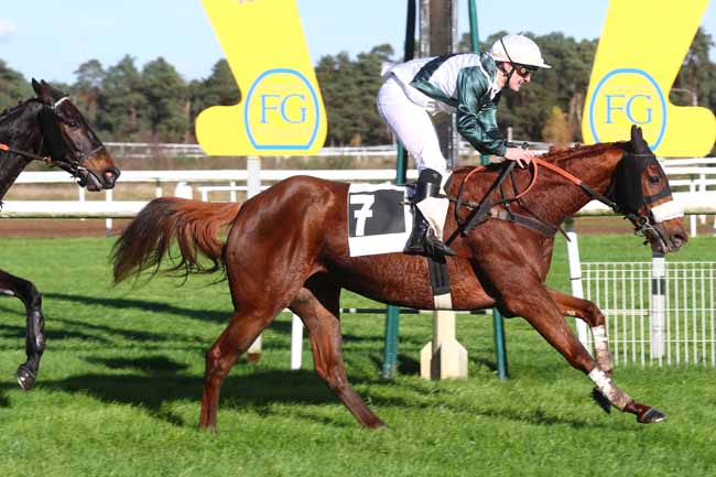 Photo d'arrivée de la course pmu PRIX COLONEL BERNARD MARLIN à FONTAINEBLEAU le Mercredi 20 novembre 2024