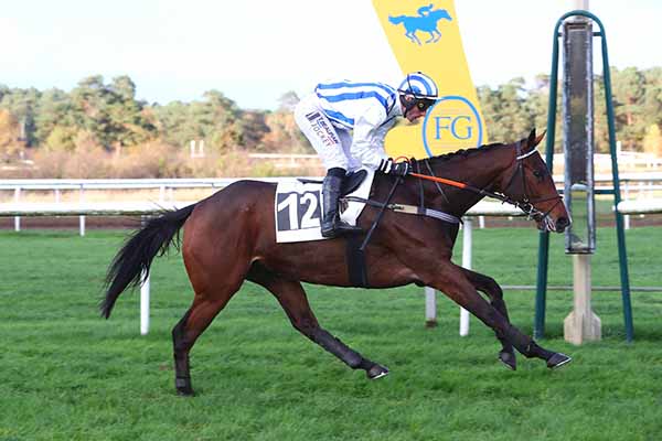 Photo d'arrivée de la course pmu PRIX DE LA GROTTE DES ERMITES à FONTAINEBLEAU le Mercredi 20 novembre 2024
