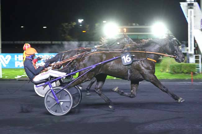 Photo d'arrivée de la course pmu PRIX FLORENTINA à PARIS-VINCENNES le Vendredi 22 novembre 2024