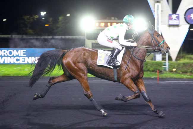 Photo d'arrivée de la course pmu PRIX VICTORIA à PARIS-VINCENNES le Vendredi 22 novembre 2024