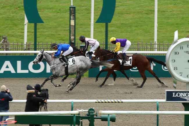Photo d'arrivée de la course pmu PRIX CHLORIS à CHANTILLY le Samedi 23 novembre 2024