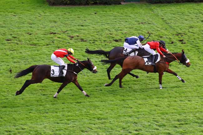 Photo d'arrivée de la course pmu STEEPLE-CHASE NATIONAL DES ANGLO-ARABES à AUTEUIL le Dimanche 24 novembre 2024