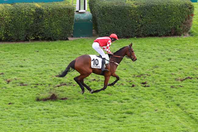 Photo d'arrivée de la course pmu PRIX DE L'AGGLOMERATION DU MONT-SAINT-MICHEL - NORMANDIE (PRIX SAMBRISTAN) à AUTEUIL le Dimanche 24 novembre 2024