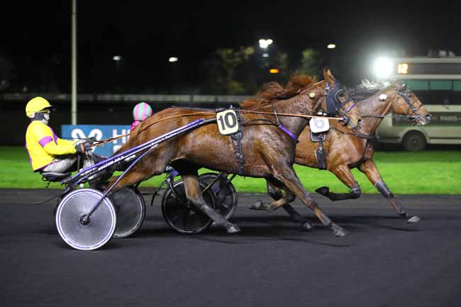 Photo d'arrivée de la course pmu PRIX DE LA CAMARGUE à PARIS-VINCENNES le Lundi 25 novembre 2024