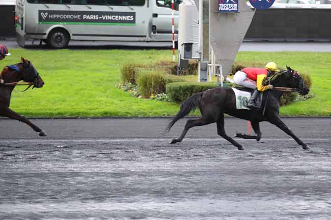 Photo d'arrivée de la course pmu PRIX DE LANDIVISIAU à PARIS-VINCENNES le Lundi 25 novembre 2024