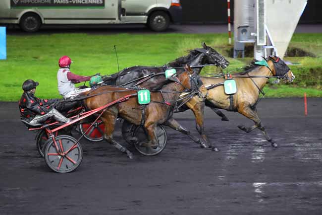 Photo d'arrivée de la course pmu PRIX DE CERISY à PARIS-VINCENNES le Lundi 25 novembre 2024