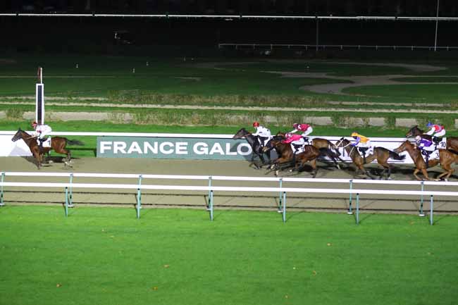 Photo d'arrivée de la course pmu PRIX DU BOIS D'ENFER à DEAUVILLE le Mardi 26 novembre 2024