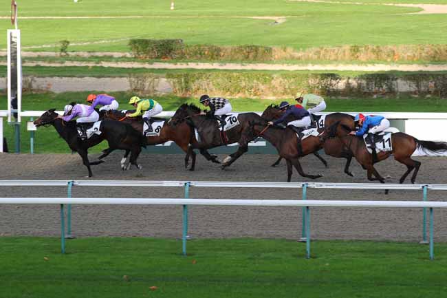Photo d'arrivée de la course pmu PRIX DU MANOIR DE LA CAILLERIE à DEAUVILLE le Mardi 26 novembre 2024