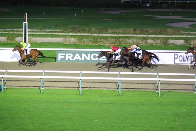 Photo d'arrivée de la course pmu PRIX GREY DAWN à DEAUVILLE le Mardi 26 novembre 2024