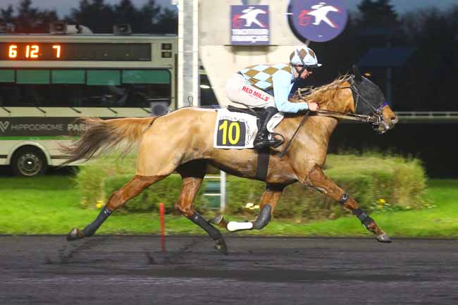 Photo d'arrivée de la course pmu PRIX VIBILIA à PARIS-VINCENNES le Mardi 26 novembre 2024