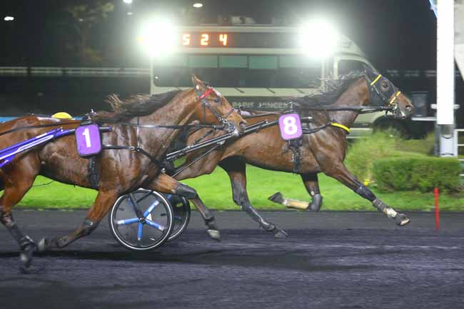 Photo d'arrivée de la course pmu PRIX DES ANEMONES à PARIS-VINCENNES le Mardi 26 novembre 2024