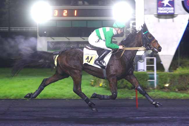 Photo d'arrivée de la course pmu PRIX DE FERRIERES à PARIS-VINCENNES le Mardi 26 novembre 2024