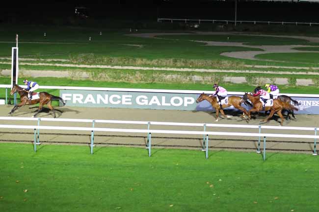 Photo d'arrivée de la course pmu PRIX D'ORROUY à DEAUVILLE le Mercredi 27 novembre 2024