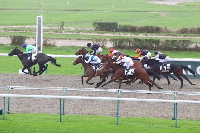 Photo d'arrivée de la course pmu PRIX DE LA FORET D'ANDAIGNE à DEAUVILLE le Mercredi 27 novembre 2024