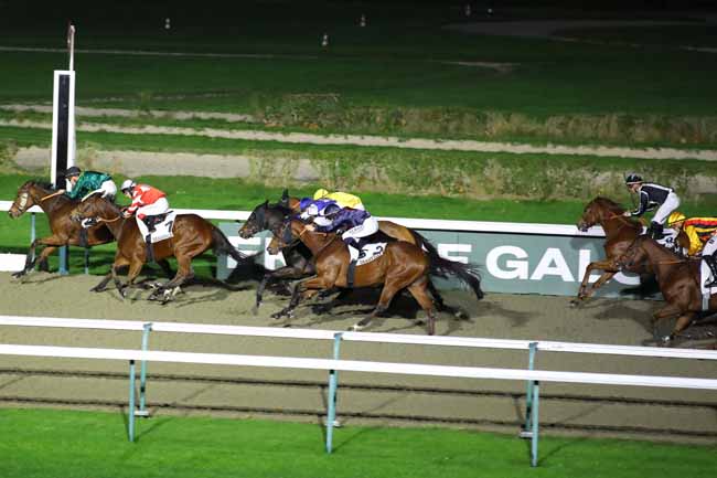 Photo d'arrivée de la course pmu PRIX DU BELVEDERE DES AVALOIRS à DEAUVILLE le Mercredi 27 novembre 2024