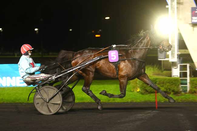 Photo d'arrivée de la course pmu PRIX DE RICHELIEU à PARIS-VINCENNES le Mercredi 27 novembre 2024