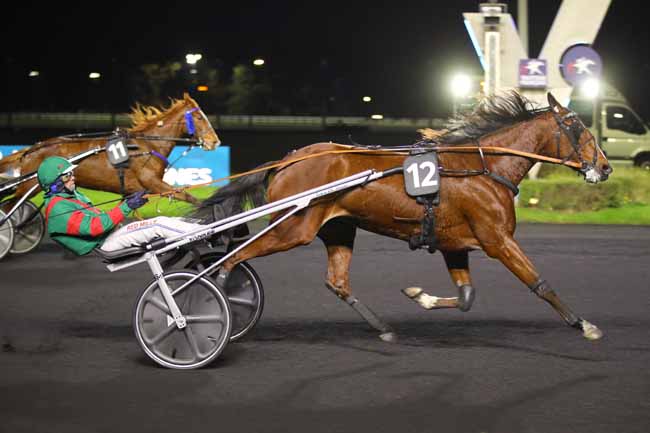 Photo d'arrivée de la course pmu PRIX DRACO à PARIS-VINCENNES le Vendredi 29 novembre 2024