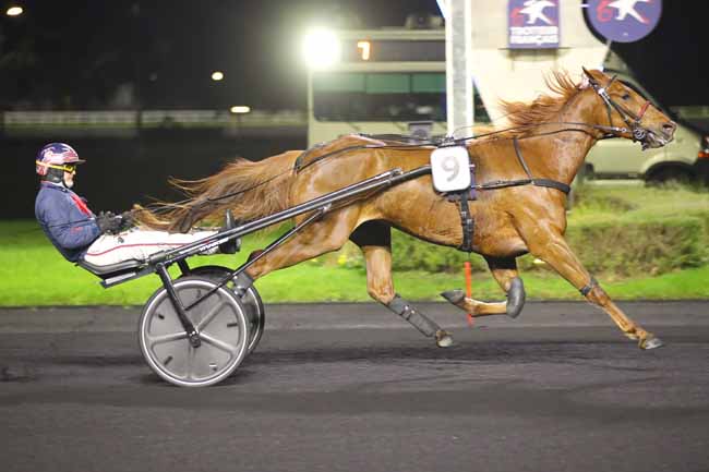 Photo d'arrivée de la course pmu PRIX CERES à PARIS-VINCENNES le Vendredi 29 novembre 2024