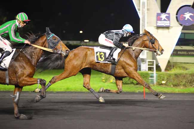 Photo d'arrivée de la course pmu PRIX GIENAH à PARIS-VINCENNES le Vendredi 29 novembre 2024