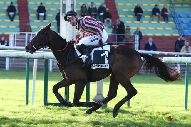 Photo d'arrivée de la course pmu PRIX ROGER SAINT à COMPIEGNE le Vendredi 29 novembre 2024