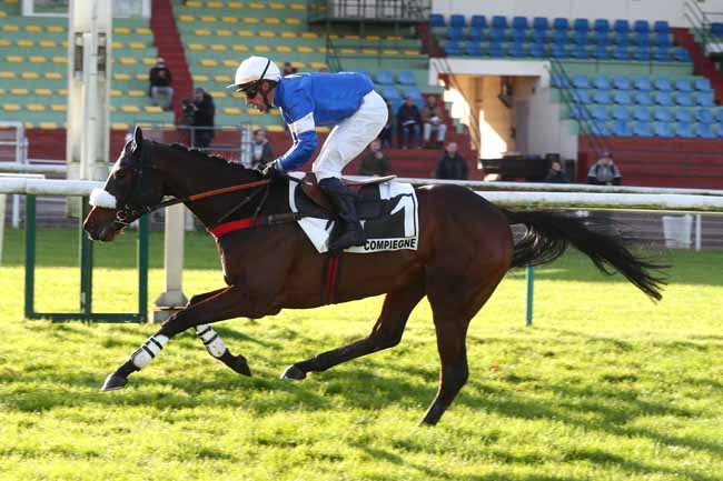 Photo d'arrivée de la course pmu PRIX GENERAL DE SAINT-DIDIER à COMPIEGNE le Vendredi 29 novembre 2024