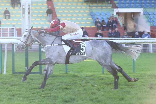 Photo d'arrivée de la course pmu PRIX LEOPOLD D'ORSETTI - GRANDE COURSE DE HAIES DE COMPIEGNE à COMPIEGNE le Vendredi 29 novembre 2024