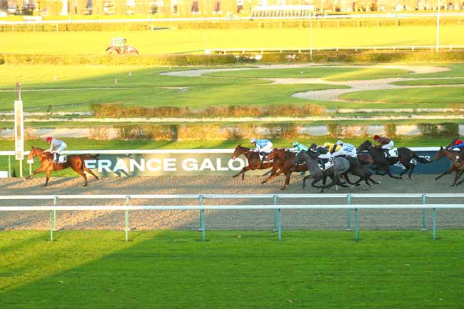 Photo d'arrivée de la course pmu PRIX DE LA POMMERAIE à DEAUVILLE le Vendredi 29 novembre 2024