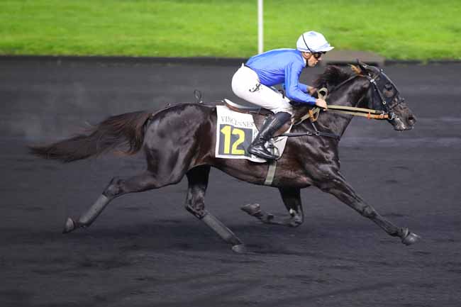Photo d'arrivée de la course pmu PRIX RAOUL BALLIERE à PARIS-VINCENNES le Samedi 30 novembre 2024