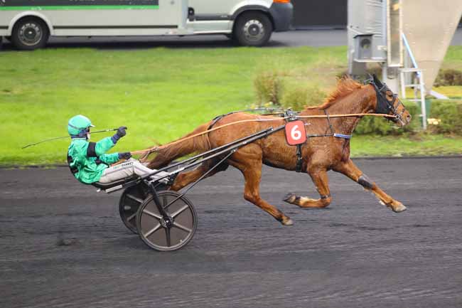 Photo d'arrivée de la course pmu LETROT OPEN DES REGIONS - 4 ANS à PARIS-VINCENNES le Dimanche 1 décembre 2024